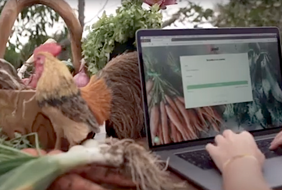 Proyectos innovadores que buscan una agricultura sostenible y comprometida 