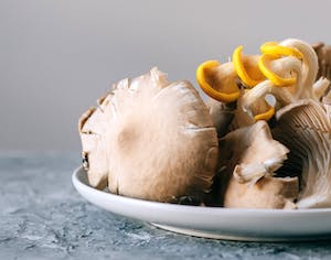 Comienza Soria Gastronómica, congreso de cocina y turismo micológico 