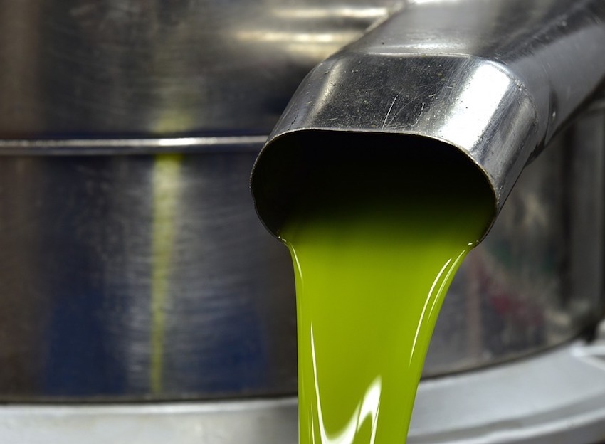 La producción de aceite de oliva 2023-24, un 15 % más que la campaña anterior y un 34 % menos que la media 