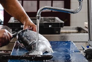 Claves para comprar y conservar el pescado estas navidades