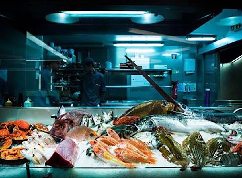 Nuevo curso en la UNED de experto en comercialización de productos de pesca y acuicultura 