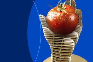 Embalajes agroalimentarios innovadores y sostenibles que son de premio 