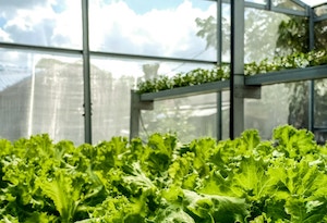 El futuro de la alimentación desde la ciencia y la tecnología, a debate en Madrid Fusión