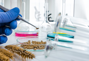 Inteligencia Artificial generativa para la creación de nuevos ingredientes alimentarios