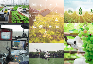 Impulso al Observatorio de Digitalización del Sector Agroalimentario