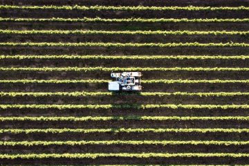 Los planes del Ministerio para el sector agroalimentario en esta legislatura