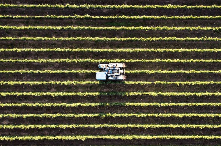 Los planes del Ministerio para el sector agroalimentario en esta legislatura