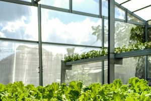 El sector foodtech en España