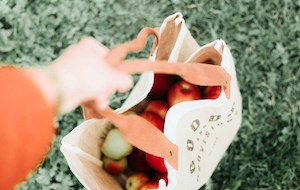 Buscando las mejores tiendas eco&organic 