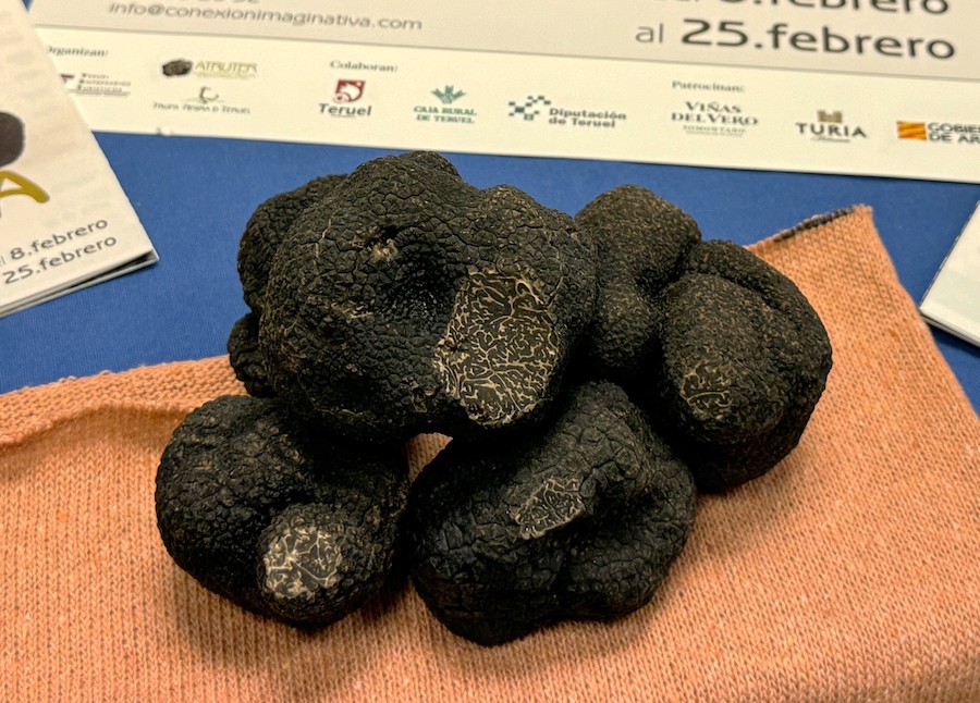 Comienzan las Jornadas Gastronómicas de la Trufa Negra de Teruel