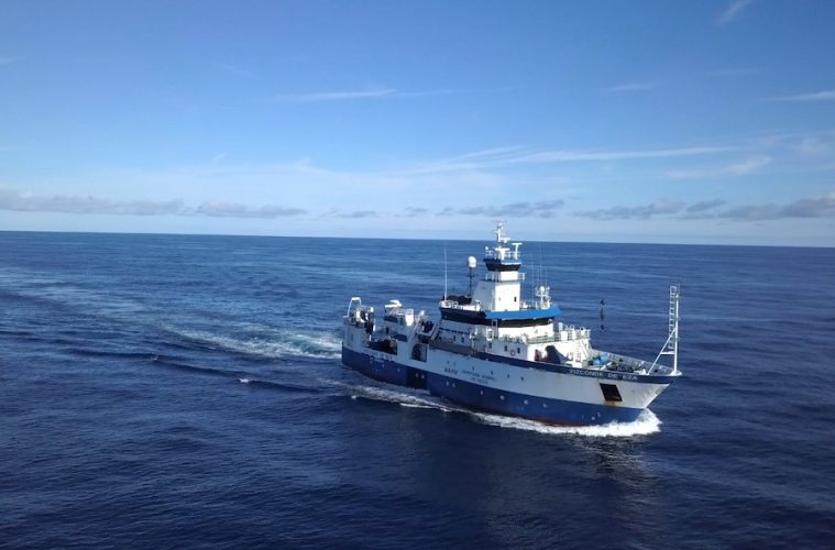 Comienza la campaña científica anual de estudio de la pesca en el Golfo de Cádiz