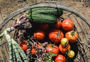 190.000 euros para apoyar tres proyectos de alimentación sostenible