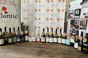 Los mejores vinos atlánticos 2024