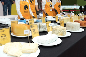 Los mejores y más novedosos vinos, quesos y virgen extra, en Salón Gourmets 2024