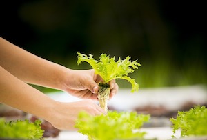La innovación gastronómica tiene premio en Salón Gourmets