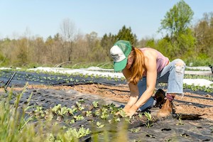 Las interrelaciones entre cambio climático y relevo generacional agrícola