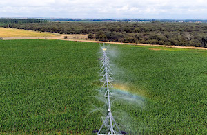 Smart Green Water, proyecto europeo para mejorar el uso del agua en agricultura