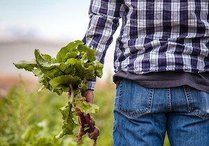 ¿Ha dado respuesta la Comisión Europea a las reclamaciones de los agricultores y ganaderos?