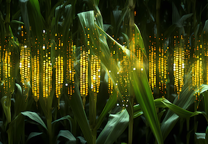 Ganadores de los FoodTech Innovation Awards 2024