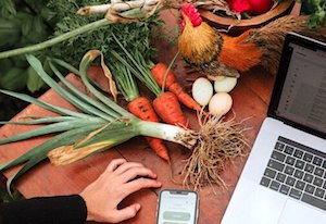 La alimentación y gastronomía a debate en MadBlue, foro sobre desarrollo económico sostenible