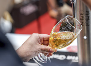 Los mejores tiradores de cerveza y abridores de ostras 2024