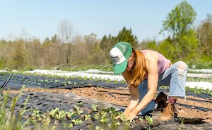 Rebaja general del 15 % en el IRPF para agricultores y ganaderos