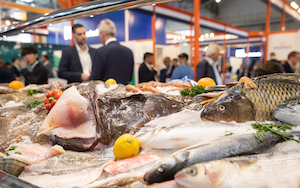 Retos y oportunidades para la industria de productos del mar 
