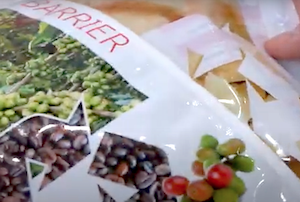 Valencia acogerá MeetingPack, encuentro sobre el envase alimentario sostenible