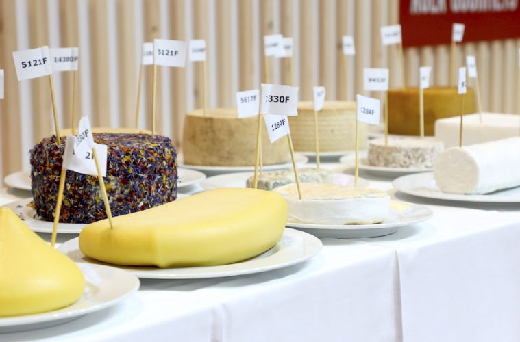 Los mejores quesos gourmet del año