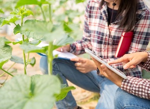 Ayudas para las explotaciones agrarias de titularidad compartida