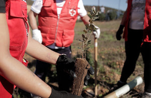 España entra en déficit ecológico hoy, 20 de mayo