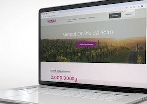Esta vendimia vuelve el Mercado Online de Uva en Cataluña