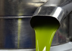 La producción de aceite de oliva crece, aunque el temor a un aumento de precio se mantiene