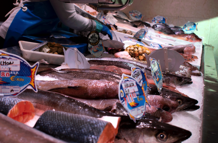 Las demandas de las pescaderías tradicionales de cara a las próximas elecciones europeas - Foto Fedepesca