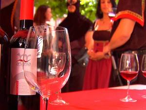 La añada 2023 de los vinos de Arlanza, calificada como Excelente