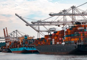 Avances en la reforma de la inspección de alimentos en fronteras