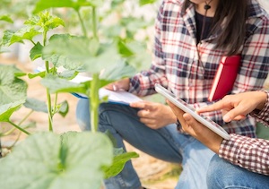2El relevo generacional, clave para el futuro del sector agrario 2