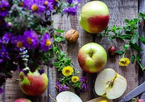 Huertos, semillas, flora, fauna… hasta 100 actividades medioambientales gratuitas en Madrid