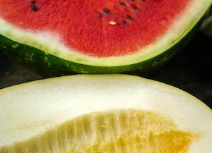 2Los productores de semillas de melón y sandía presentan sus novedades en Murcia 2