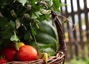 Primeros certificados de Agricultura Regenerativa