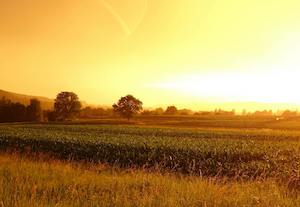 Ya se conocen los nuevos agricultores beneficiarios de la ayuda extraordinaria por la sequía