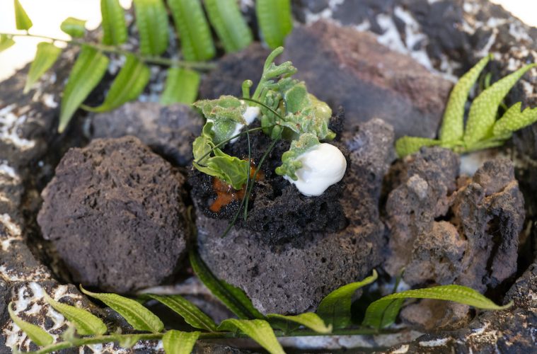De cómo cada volcán influye de forma diferente en la cocina de su territorio - Foto elaboración Oriol Castro