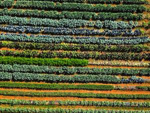 TerraCert, proyecto europeo de formación en agricultura regenerativa