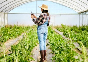 Abiertas las inscripciones al programa formativo Cultiva para jóvenes agricultores