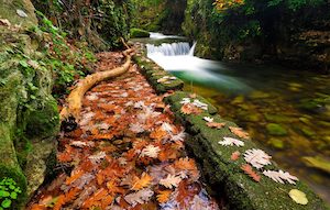 El Otoño Mágico del Valle del Ambroz, declarado Fiesta de Interés Turístico Internacional 