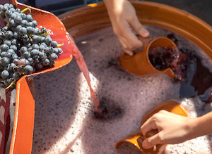 Todo preparado para la Gran Fiesta de la Vendimia Ribera del Duero