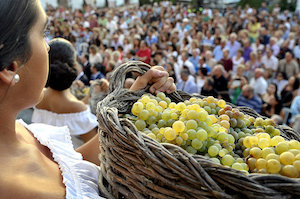 Jerez prepara ya la Fiesta de la Vendimia 