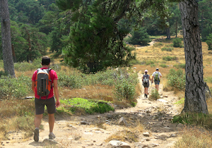 La Sierra de Madrid estrena cuatro nuevas Rutas Verdes