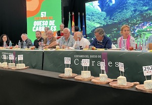 Todo listo para revalidar el récord Guinness en la subasta del mejor Cabrales