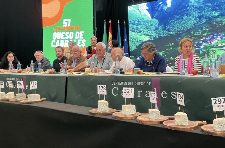 Todo listo para revalidar el récord Guinness en la subasta del mejor Cabrales